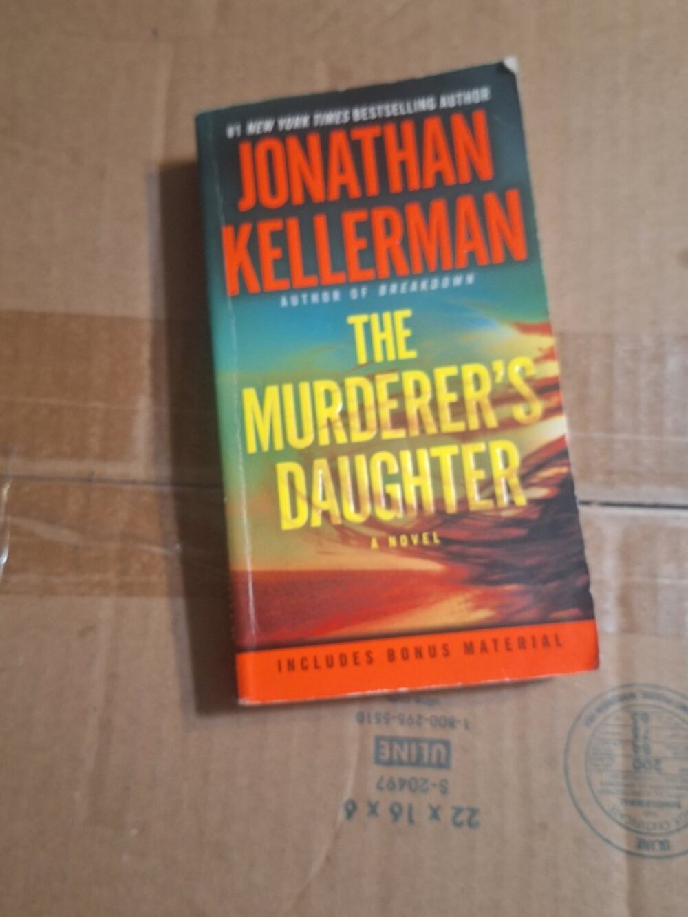 The Murderer's Daughter